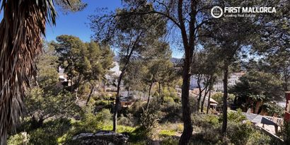 Real Estates picture 0 Ref. 83397