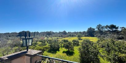 Inmobiliaria picture 30 Ref. Nº. 76503