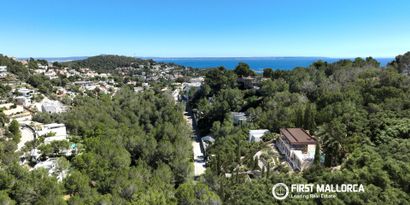 Real Estates picture 4 Ref. 83466