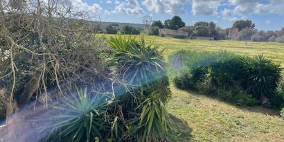 Immobilien picture 5 Ref. Nr. 83502