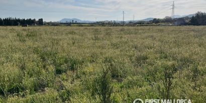 Недвижимость picture 2 Ref 83450