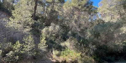 Real Estates picture 1 Ref. Nr. 83465