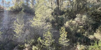 Real Estates picture 2 Ref. Nr. 83465