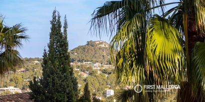 Inmobiliaria picture 29 Ref. Nº. 82200