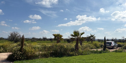 Недвижимость picture 1 Ref 83031