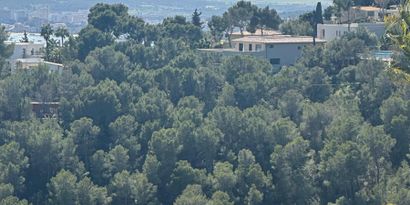 Inmobiliaria picture 0 Ref. Nº. 83465