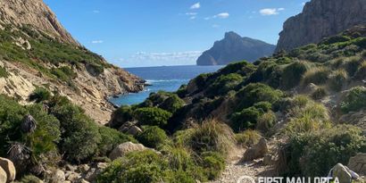 Inmobiliaria picture 30 Ref. Nº. R29488