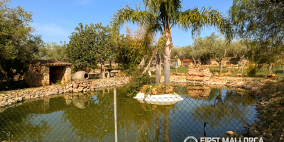 Immobilien picture 23 Ref. Nr. 83545