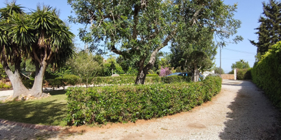 Real Estates picture 15 Ref. 83566