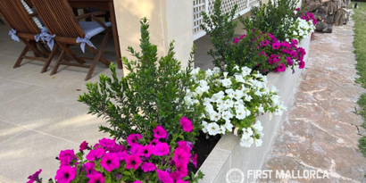 Immobilien picture 35 Ref. Nr. 76236