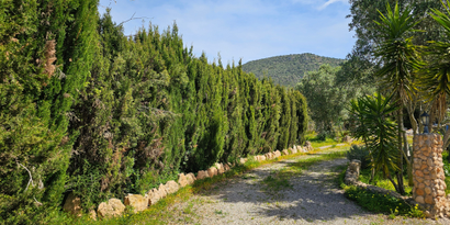 Immobilien picture 19 Ref. Nr. R23722