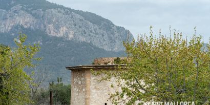 Inmobiliaria picture 22 Ref. Nº. 82872