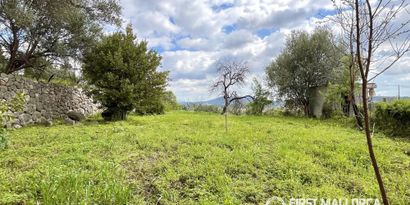 Real Estates picture 23 Ref. 83414