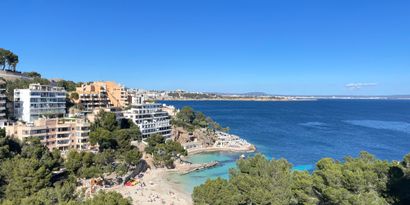 Real Estates picture 0 Ref. 83501