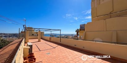 Real Estates picture 11 Ref. 83474