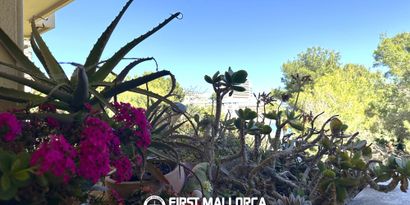 Inmobiliaria picture 13 Ref. Nº. 82590