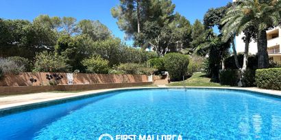 Inmobiliaria picture 15 Ref. Nº. 82590