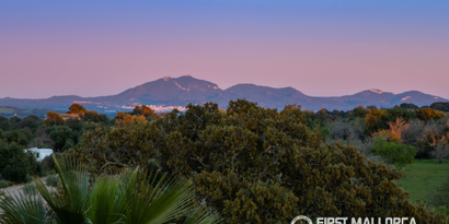 Inmobiliaria picture 2 Ref. Nº. 83529