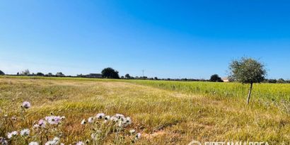 Real Estates picture 2 Ref. 83580