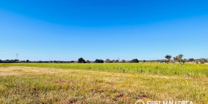 Real Estates picture 1 Ref. 83580