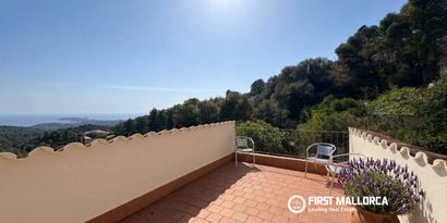 Real Estates picture 12 Ref. 83538