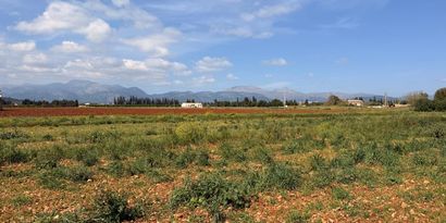 Real Estates picture 2 Ref. 83493