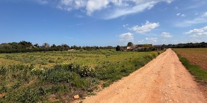 Real Estates picture 3 Ref. 83493