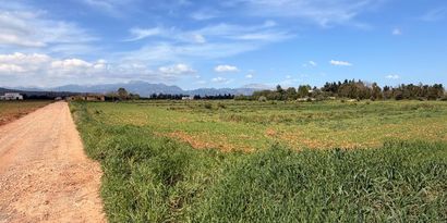 Real Estates picture 0 Ref. 83493