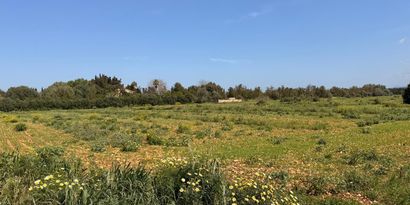 Real Estates picture 1 Ref. 83493