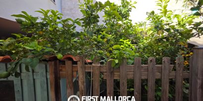 Inmobiliaria picture 13 Ref. Nº. R22929