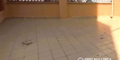 Inmobiliaria picture 5 Ref. Nº. 83601