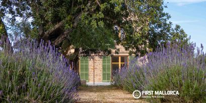 Immobilien picture 2 Ref. Nr. 83572