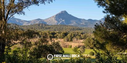 Immobilien picture 37 Ref. Nr. 83163