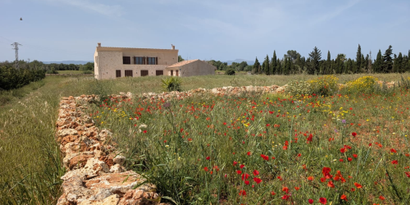 Immobilien picture 8 Ref. Nr. R24649