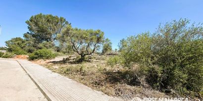 Immobilien picture 4 Ref. Nr. 83603