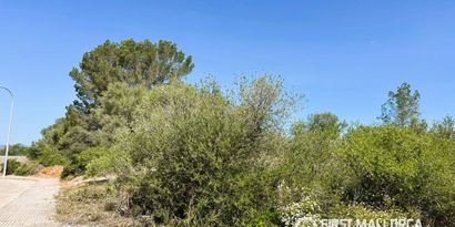 Immobilien picture 2 Ref. Nr. 83603