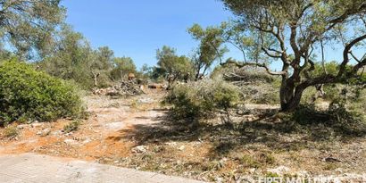 Immobilien picture 5 Ref. Nr. 83603