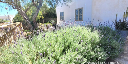 Real Estates picture 15 Ref. R29546