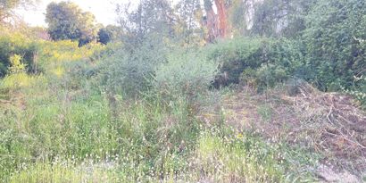 Inmobiliaria picture 2 Ref. Nº. 83647