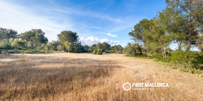 Immobilien picture 5 Ref. Nr. 83673