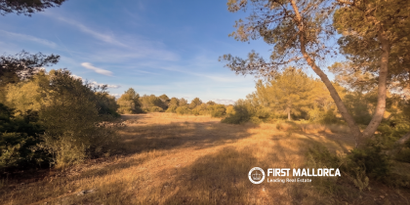 Immobilien picture 2 Ref. Nr. 83673