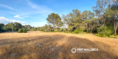 Immobilien picture 7 Ref. Nr. 83673