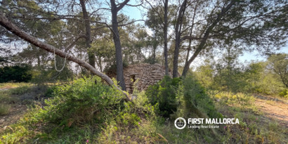 Immobilien picture 4 Ref. Nr. 83673