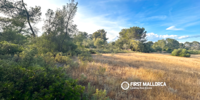 Immobilien picture 6 Ref. Nr. 83673