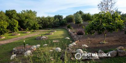 Inmobiliaria picture 43 Ref. Nº. 83762