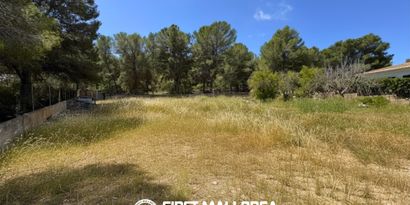 Inmobiliaria picture 2 Ref. Nº. 83670