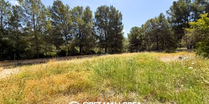 Inmobiliaria picture 1 Ref. Nº. 83670