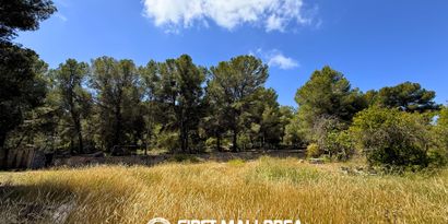 Inmobiliaria picture 3 Ref. Nº. 83670