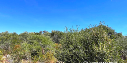Inmobiliaria picture 2 Ref. Nº. 83805