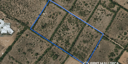 Real Estates picture 2 Ref. 83830